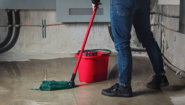 Best Flood damage cleanup  in La Salle, CO