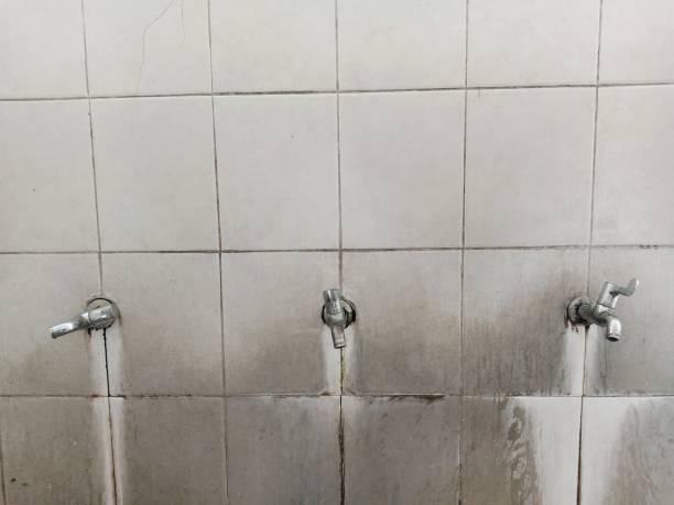 Best Mold removal after water damage  in La Salle, CO